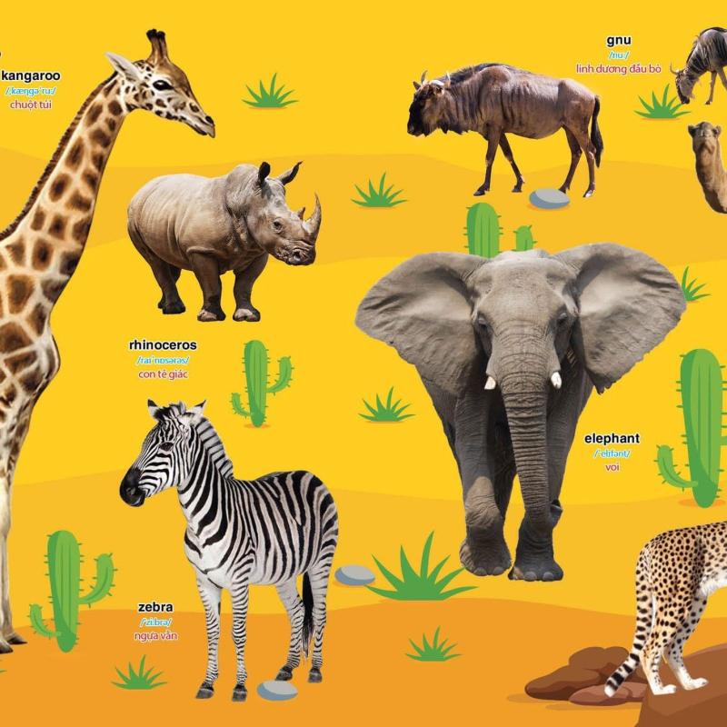 BÉ CHINH PHỤC TIẾNG ANH THEO CHỦ ĐỀ